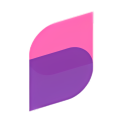 DigiSalt Studio